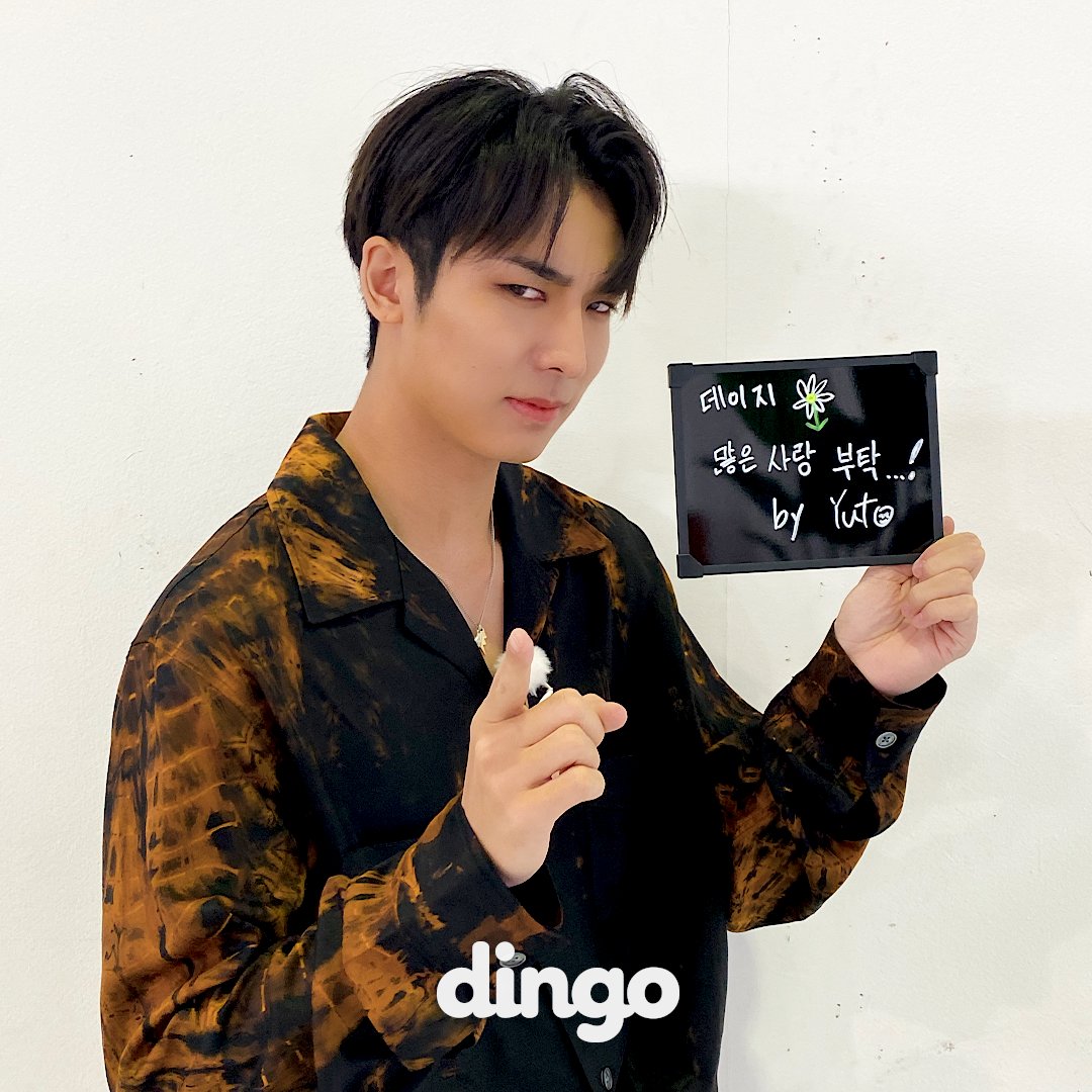 dingo_official's tweet photo. https://t.co/j04OVu5yAY