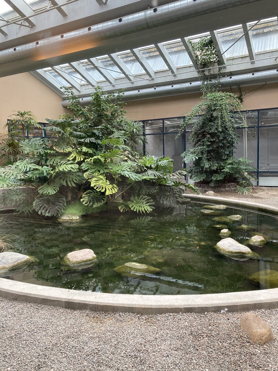 MaddyTizar's tweet photo. Jeg arbejder også ‘udendørs’ 😍 #houseofscience #Sønderborg #sonderborg #workplace https://t.co/A7ccqcC1fP