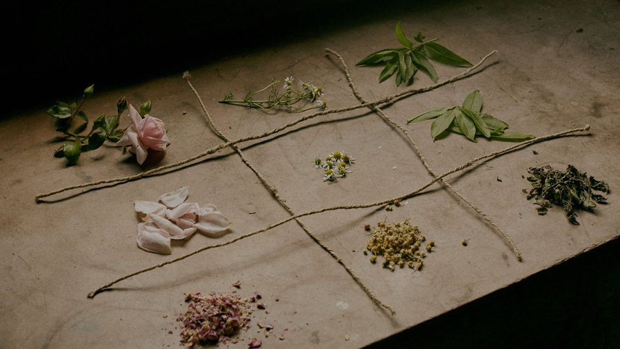 Clinical Nursing and Practice (@clinical_nurs) on Twitter photo 