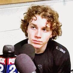 day 78 of nhlers as puppies: today we have floof — the pkane edition 