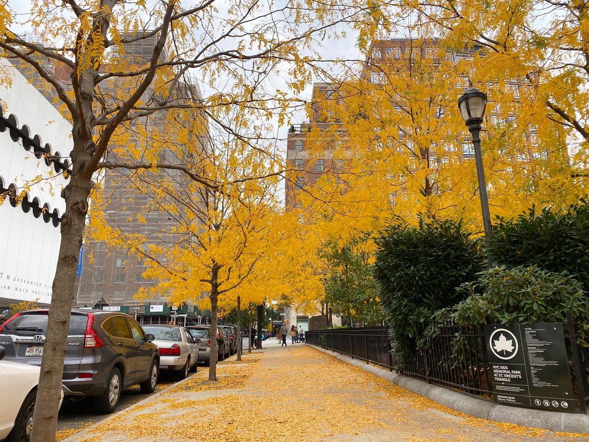 Long walks around Battery City and the West Village.