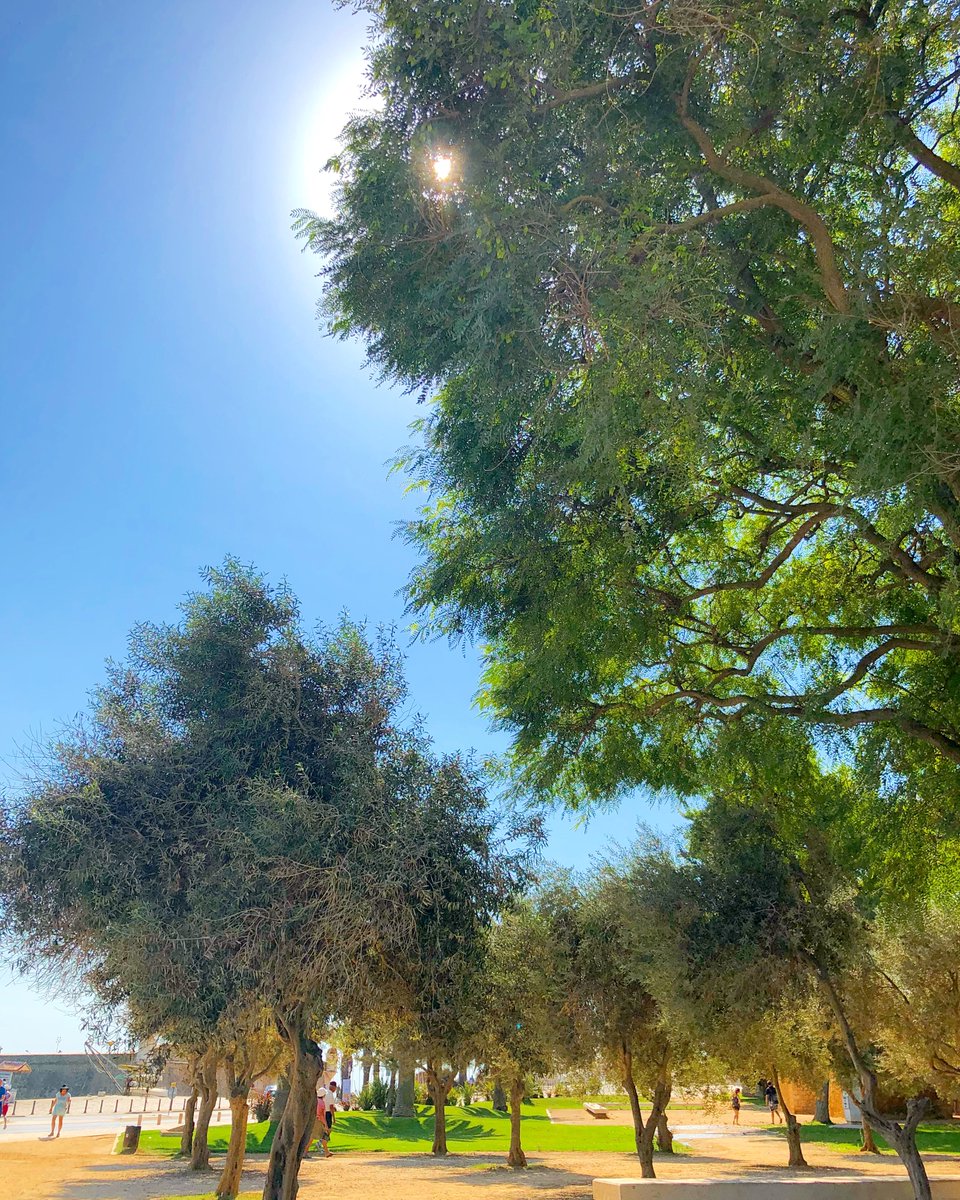 valetedecopaspt's tweet photo. 🔺Pormenores de uma linda cidade. 🌿🌳
.
.
#lazer #lugares #algarve #lagos #cidade #centro #muralhas #natureza #nature #portugal #viajar https://t.co/Fx7kuLQok5
