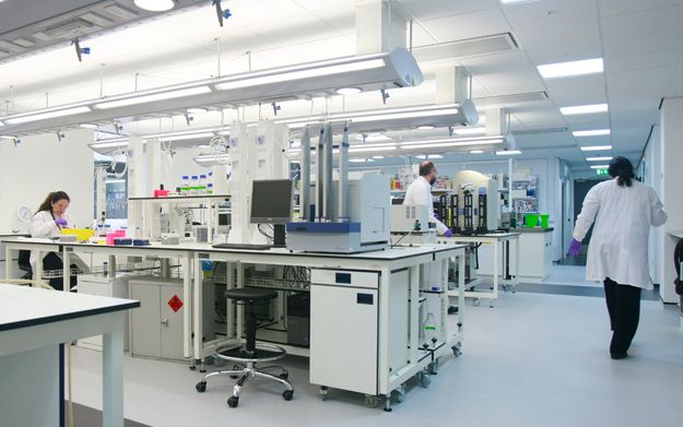 UoD Life Sciences (@uodlifesciences) on Twitter photo The <a href="/DDU_Dundee/">Drug Discovery Unit</a> is to play a key role in the new National <a href="/UK_SPINE/">UK SPINE #UKSPINE</a> initiative that brings together scientific expertise from across the UK to shed new light on the #ageing process & help us stay healthy for longer. buff.ly/2Hy5th8
#longevity #drugdiscovery #healthspan The <a href="/DDU_Dundee/">Drug Discovery Unit</a> is to play a key role in the new National <a href="/UK_SPINE/">UK SPINE #UKSPINE</a> initiative that brings together scientific expertise from across the UK to shed new light on the #ageing process & help us stay healthy for longer. buff.ly/2Hy5th8
#longevity #drugdiscovery #healthspan