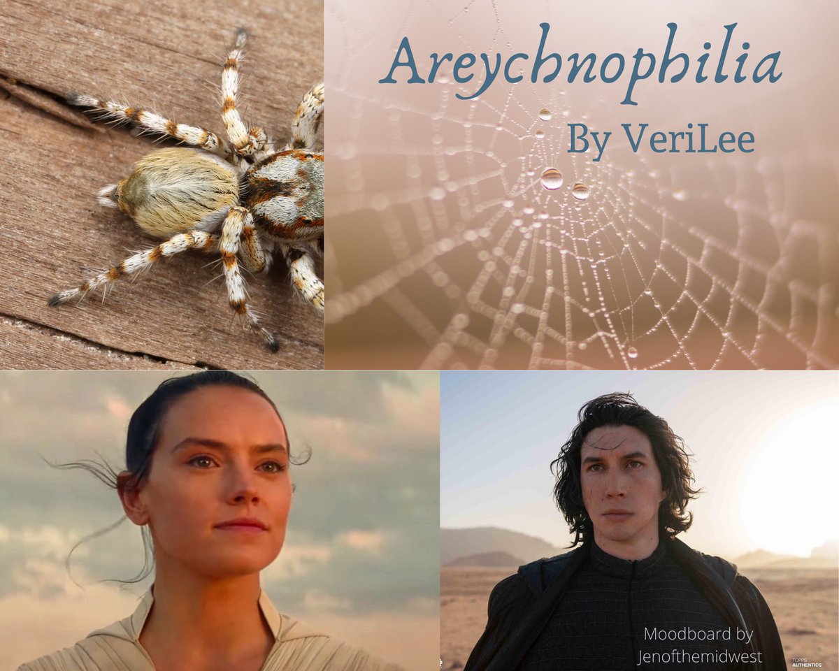 areychnophilia by VeriLee (E)Spider-Monster Rey catches Ben in her web and has her way with him. tw // spider  @shewhospeaks2 says: "I LOVE the concept of creature-Rey, especially Force-sensitive spider-Rey. A rompin' good monster-smut fic." https://archiveofourown.org/works/24583210 