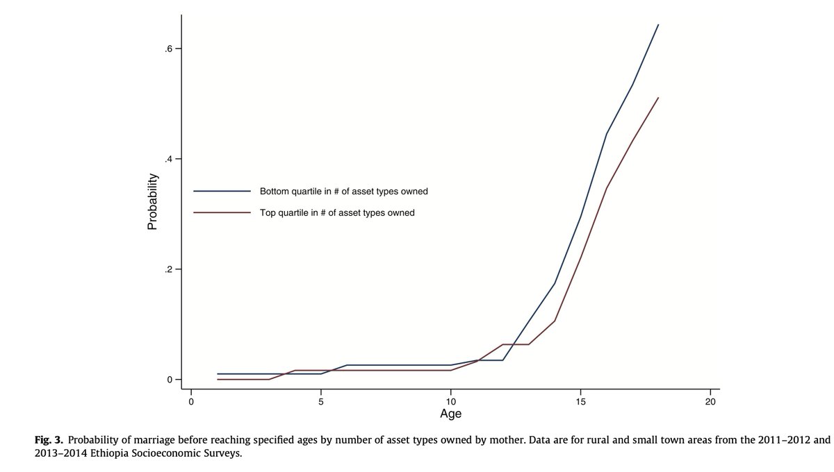 Felix Muchomba tweet media