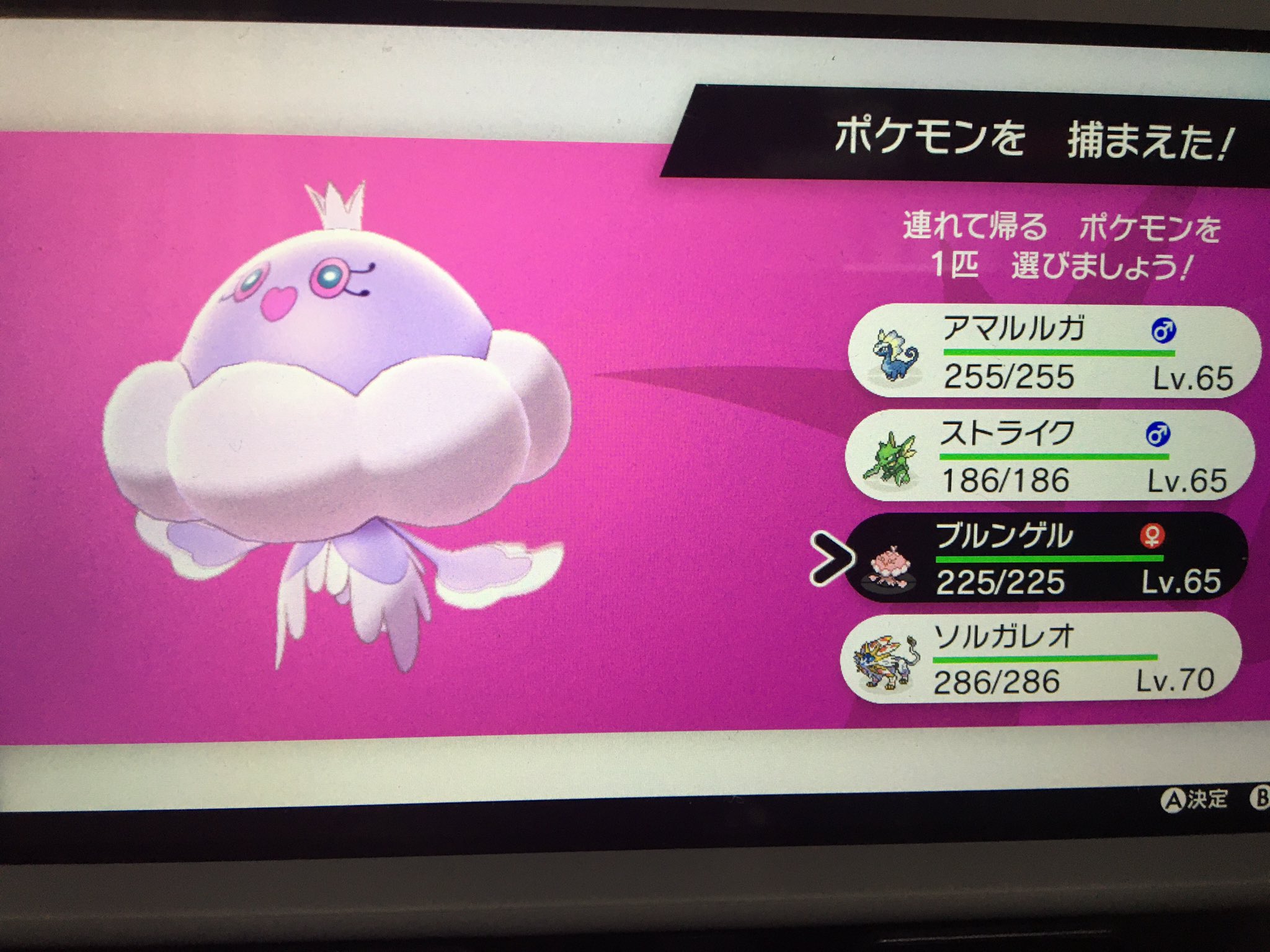 Moro Moro モロモロ サロメイト おいいいいいいいい ソルガレオ捕まえたのに 色違いのブルンゲル出てきちゃったよ ポケモン剣盾 T Co 9mlbjn8uqv Twitter