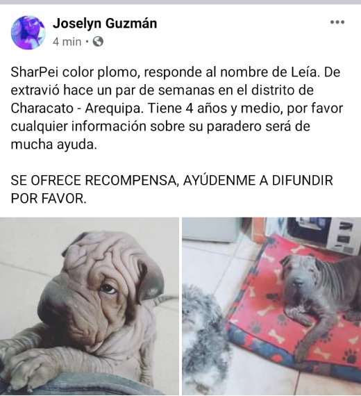 AltamenteToxica's tweet photo. AMIGOOOOOOOS AYÚDENME POR FAVOR, ES EL AMOR DE MI VIDA 😔

RT se los agradeceré mucho. https://t.co/mWKpZ8ZdJn