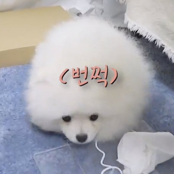김우석 총공계 tweet media