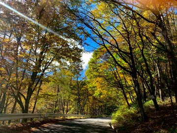 美ヶ原高原の紅葉21 見頃時期やクチコミ情報など紹介 情報発信ブログサイト Blue Rose