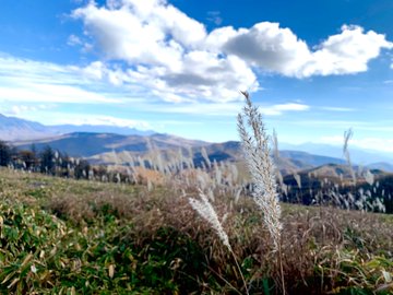 美ヶ原高原の紅葉21 見頃時期やクチコミ情報など紹介 情報発信ブログサイト Blue Rose