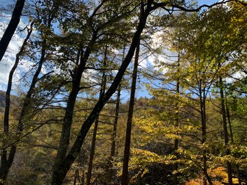 美ヶ原高原の紅葉21 見頃時期やクチコミ情報など紹介 情報発信ブログサイト Blue Rose