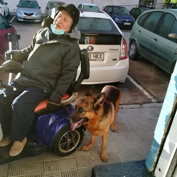 siviaromera1's tweet photo. SEVILLA
Pepe sólo tiene a Danko
Tras 7 años juntos han de separarse
Pepe tiene esclerosis tiene q sacarlo en silla de ruedas y no puede recoger sus excrementos
Danko es su único compañero esta dispuesto cederlo o a recibir ayuda si alguien de Sevilla puede pasearlo
658501139 https://t.co/z8kRjcBtrV