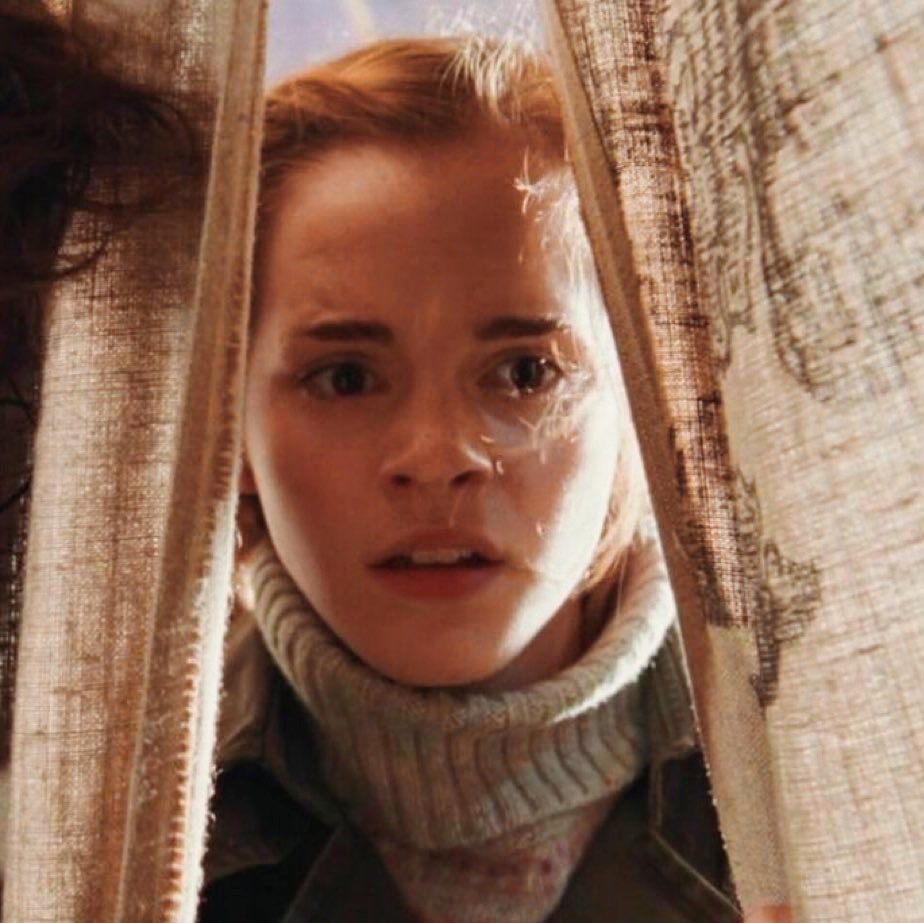 no context harry potter (@potteresbrasil) on Twitter photo 