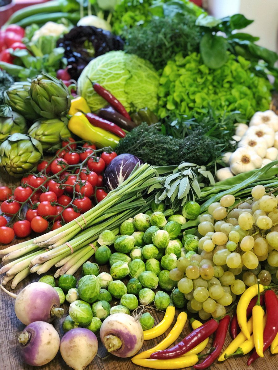 UNCE Tirgotava tweet media