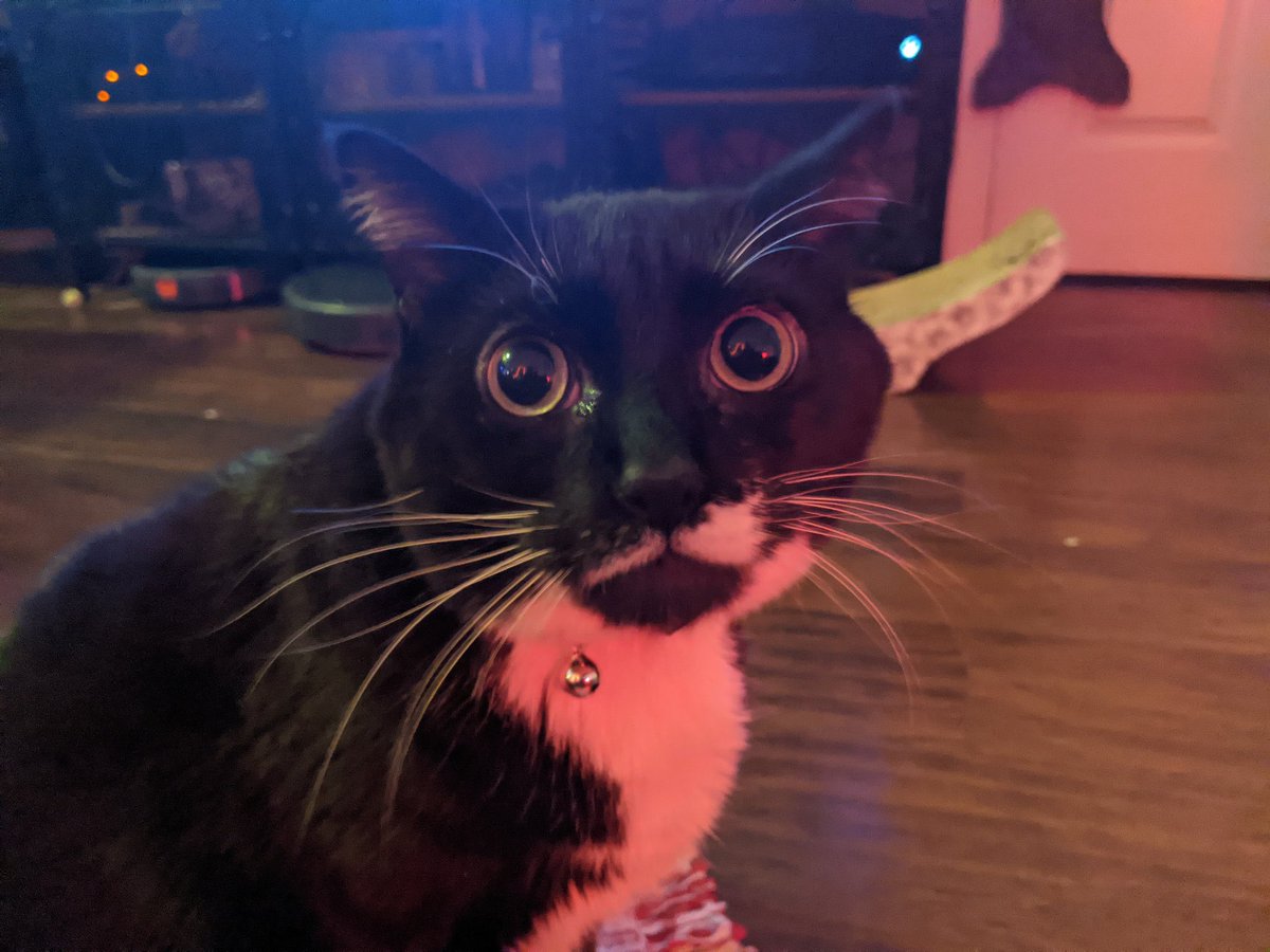 Artibuff tweet media