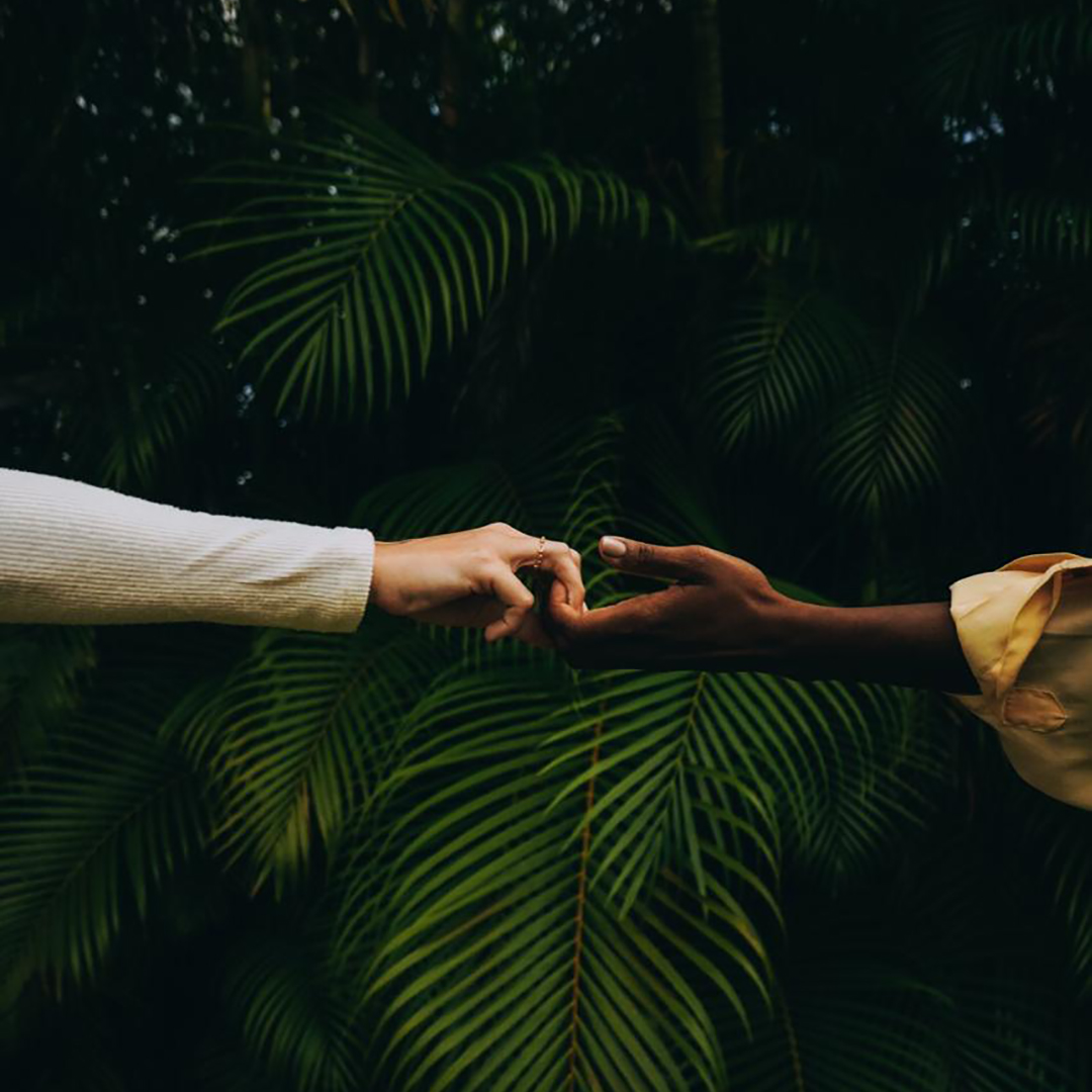 All Of P.A.N. tweet media