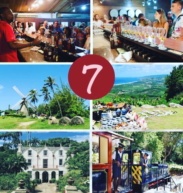 GloryTours's tweet photo. We have a list of 7 tours running at this time here is #7 #Barbados #barbadostour #mybarbadosadventure https://t.co/dvYXIWcxwX
