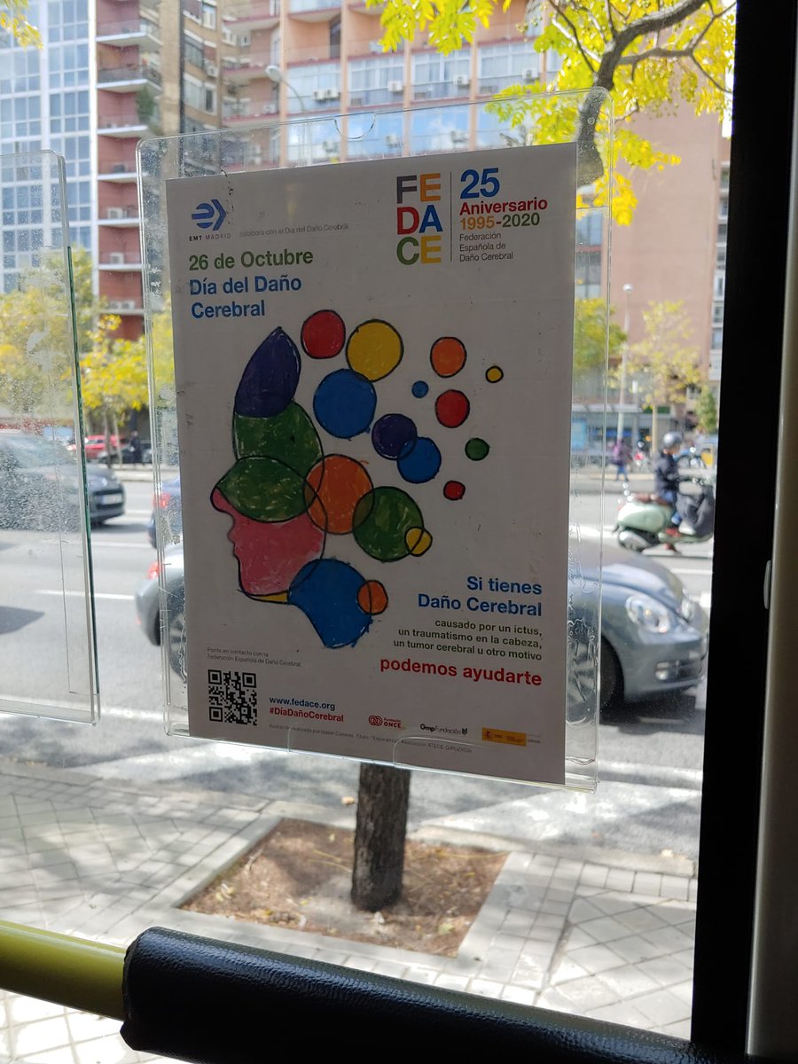 danocerebralE's tweet photo. ¡Qué bonito queda el cartel del #DíaDañoCerebral en la flota de autobuses de @EMTmadrid! ¡Muchas gracias por la colaboración! https://t.co/SHPASBOCeJ