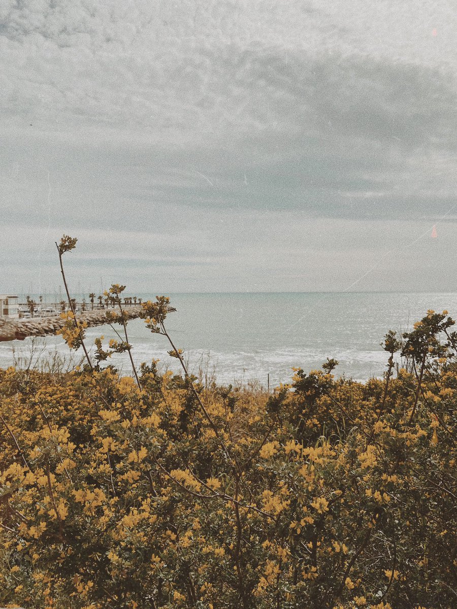 pre-covid postcards #2020