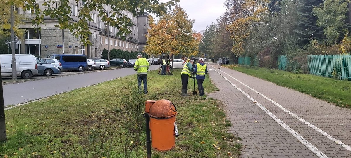 UD_PragaPolnoc's tweet photo. #ZielonaPraga
#ZPTP rozpoczął dziś długo oczekiwane sadzenie krokusów w ramach realizacji projektu #BudżetObywatelski. Na pierwszy ogień poszedł Plac Hallera i pas drogowy wzdłuż ul. Szanajcy. Jutro następne lokalizacje... 🌷
@warszawa @ZarzadZieleni @JustynaGlusman https://t.co/rk08rrilGD