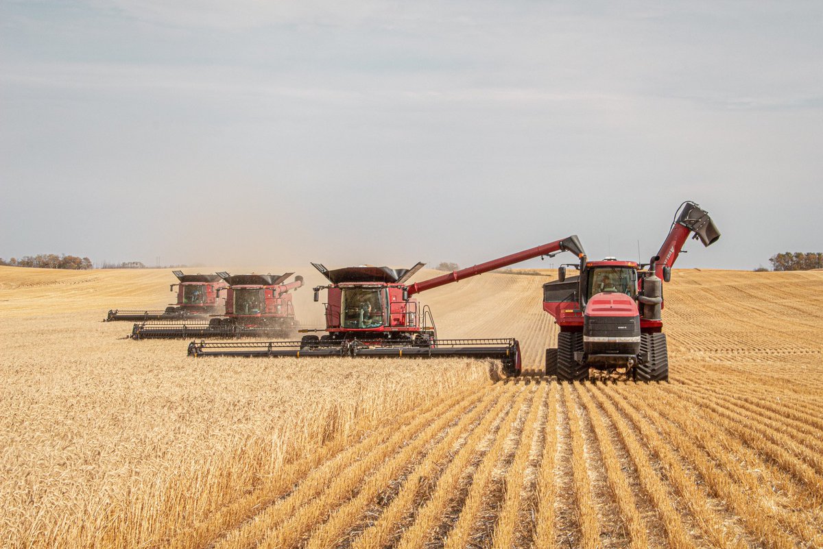 Were you on combine or grain cart duty this #harvest2020 season?