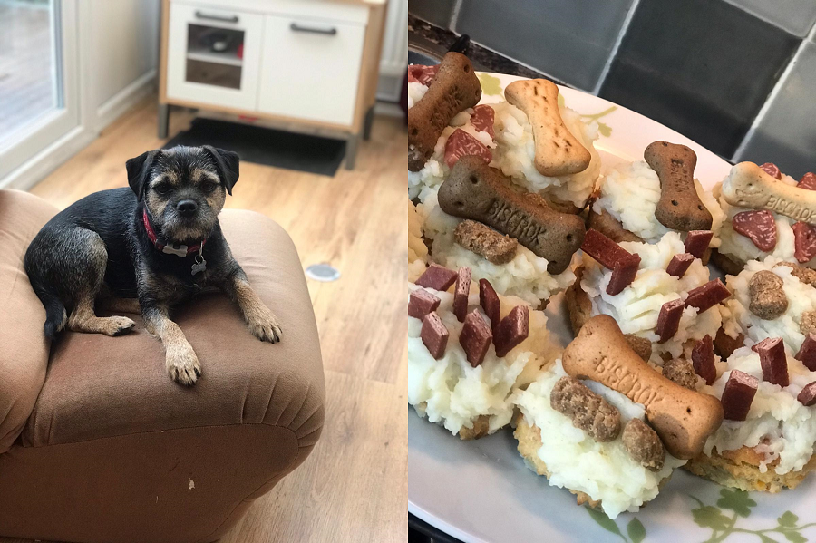 Happy 2nd #birthday to Otto Brown, beloved pup of our Sales and Office Manager, Ruth 🎂 #puppylove #puppy #dogsoftwitter #Dog #birthdaywishes #birthdayboy