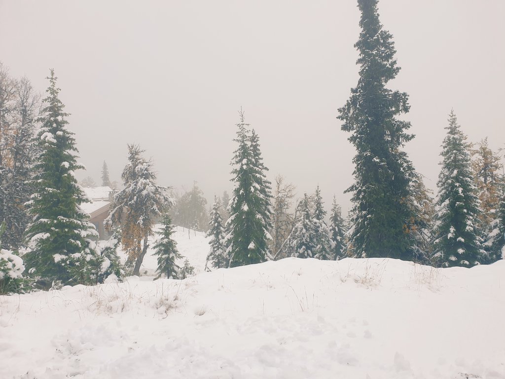 RachUmar's tweet photo. #winteriscoming #Norway #snow https://t.co/Ama20ELCRN