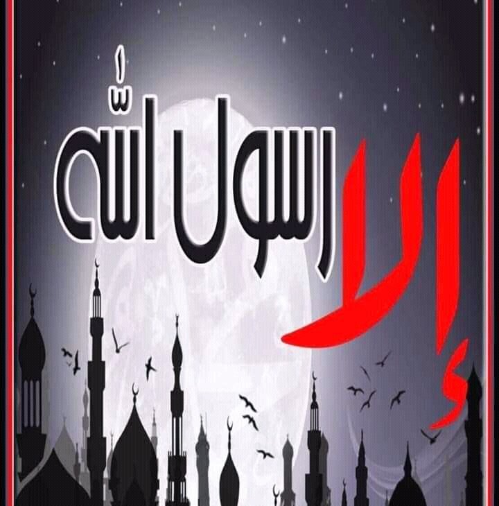 إلا النبي فذاك خـــــط أحمـر 
من مســـــه فهو العدو الأكبر

هــذا النبي فــداؤه أرواحنــا
ومن الغريب يسبه مستحمر

الشعراني