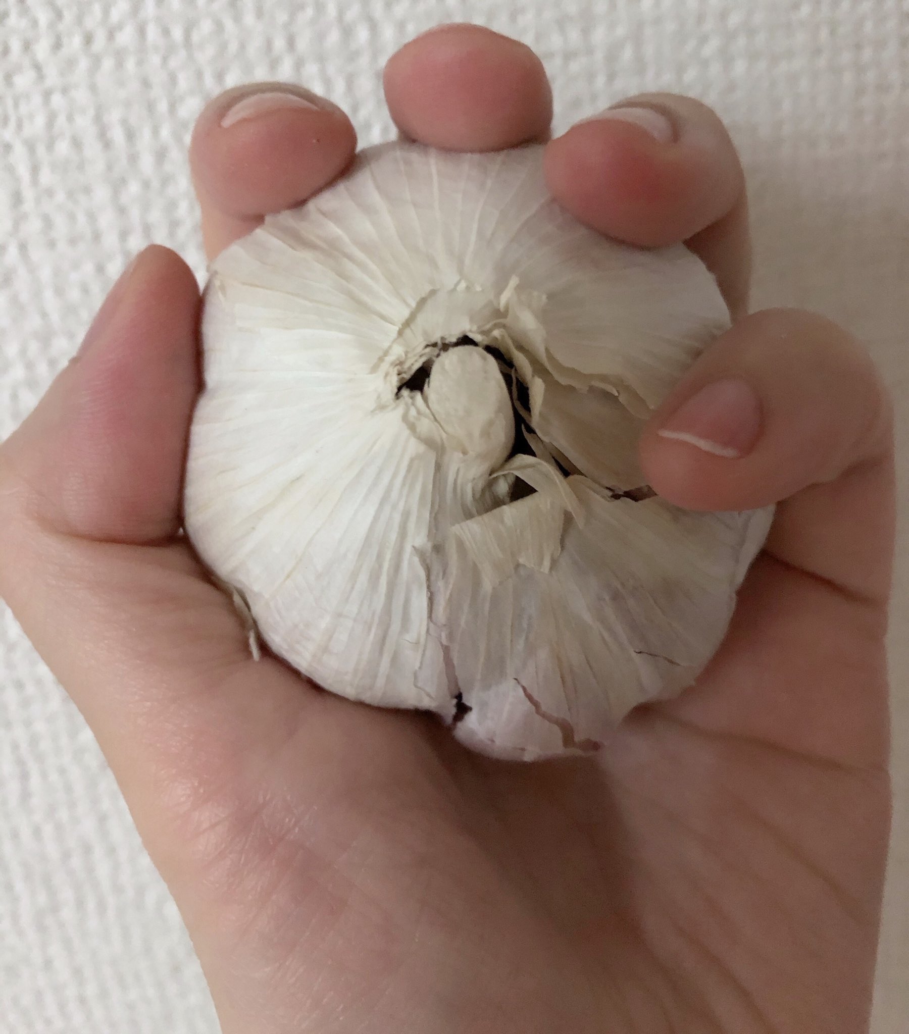 結月里奈 本人 女流緊縛師 お前らの金玉は私が握っている 意味不明 言いたいだけですｗｗ 先日 デパ地下に 松茸 見に行ったけど やっぱ何万もするからやめて 高級椎茸買って帰ったけどｗｗｗ 紫にんにく スペイン産 にも出逢って もう