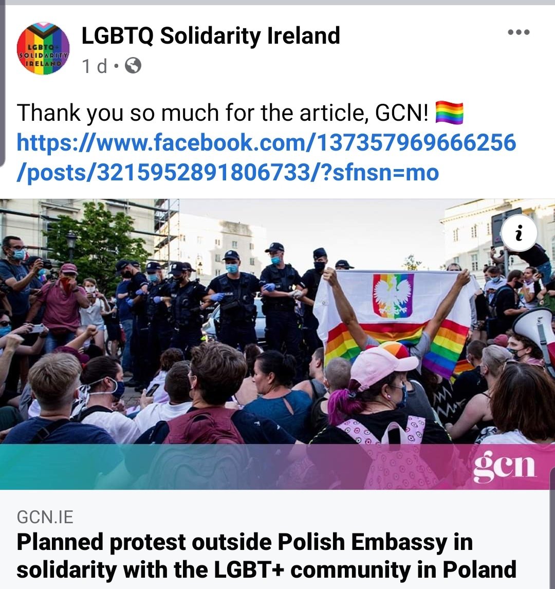 No sooner had Mijatovic's tweet gone out in August than Astro Turf Irish groups were out to organise intimidation at the Polish Embassy, with support from Fianna Fail, Sinn Fein and the Green Party