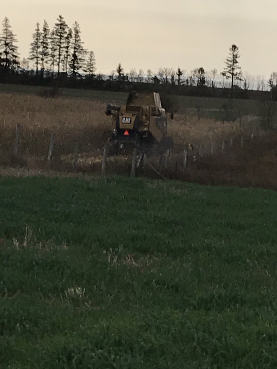 Colin MacNevin tweet media