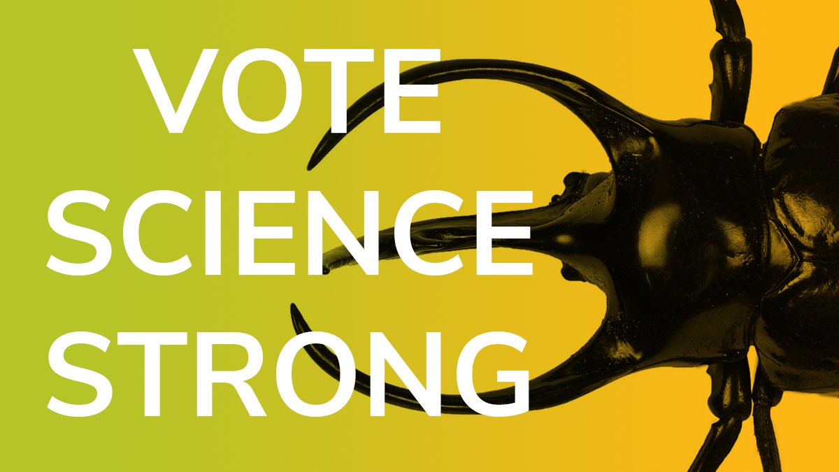 EntsocAmerica's tweet photo. 86% of Americans say basic scientific research is necessary and should be supported by the federal government. Ask your candidates: What will you do to strengthen investment in basic research? #VoteScienceStrong #swarm4science #EntVocate20 https://t.co/WDX27n0fey https://t.co/L1cduCeWqc
