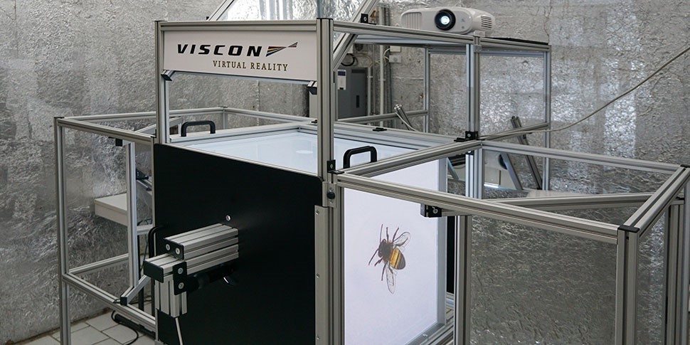 fraunhoferfokus's tweet image. 🐝 Faszinierende Welt der #Bienen: Für Forschungszwecke des Länderinstituts für Bienenkunde hat unser Geschäftsbereich #VisualComputing gemeinsam mit der VISCON GmbH eine BienenCAVE entwickelt. 🍯 🌻 Ein Umgebungs-Simulator mit 360° Projektion: ➡️ fokus.fraunhofer.de/de/fokus/news/….