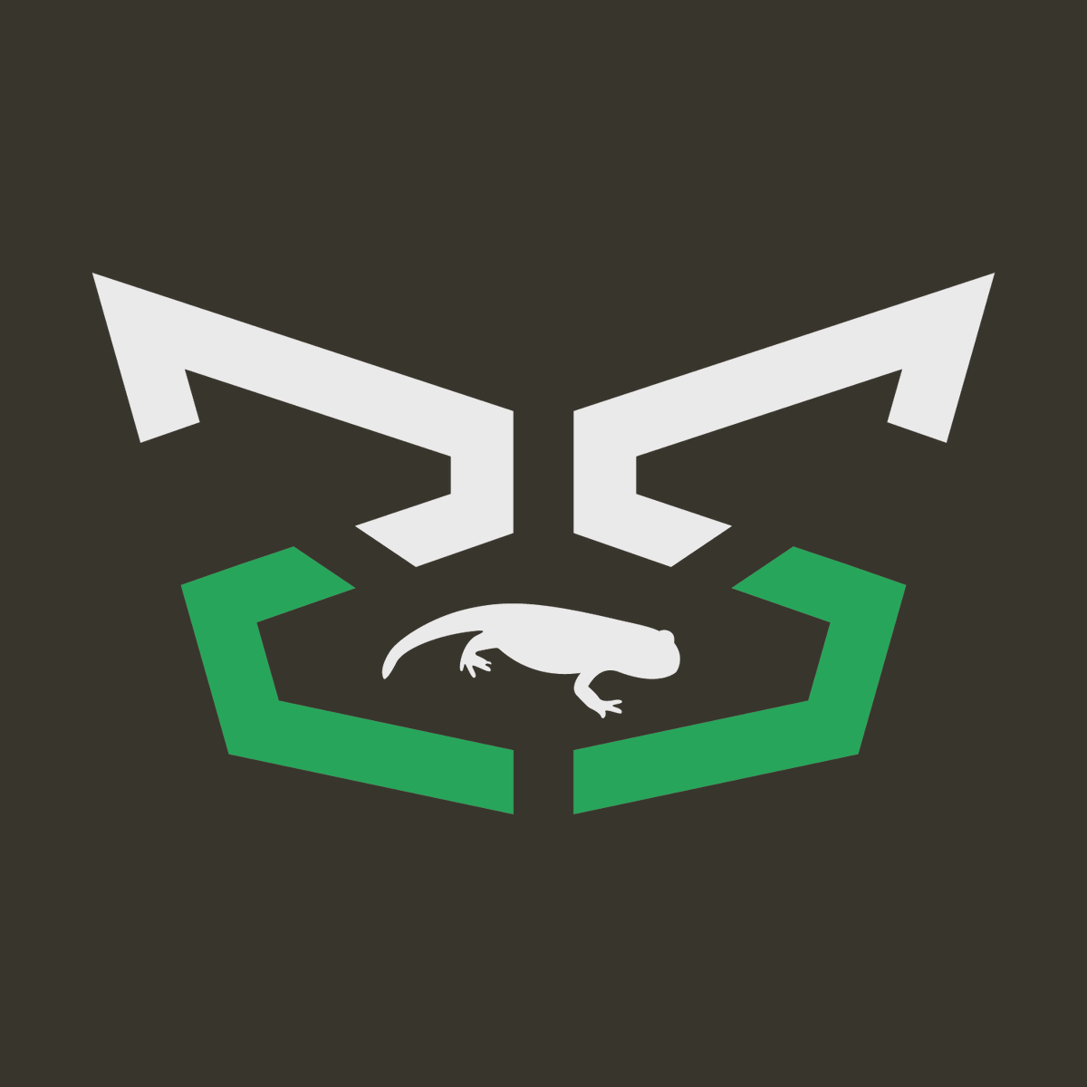Salamanders tweet media