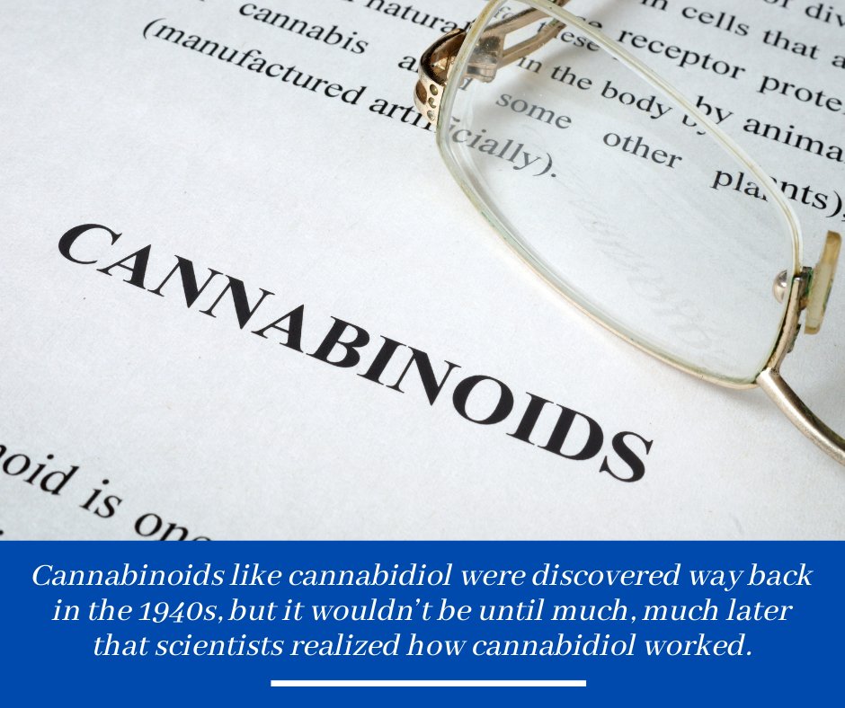 InxLaboratories's tweet photo. Nowadays cannabidiol’s role made perfect sense, but early glimpses of understanding about it came in the early ’90s when the endocannabinoid system, or ECS, was first discovered. 
Visit https://t.co/hGihAiqlt7 to learn more. https://t.co/9QMQIs7JzU