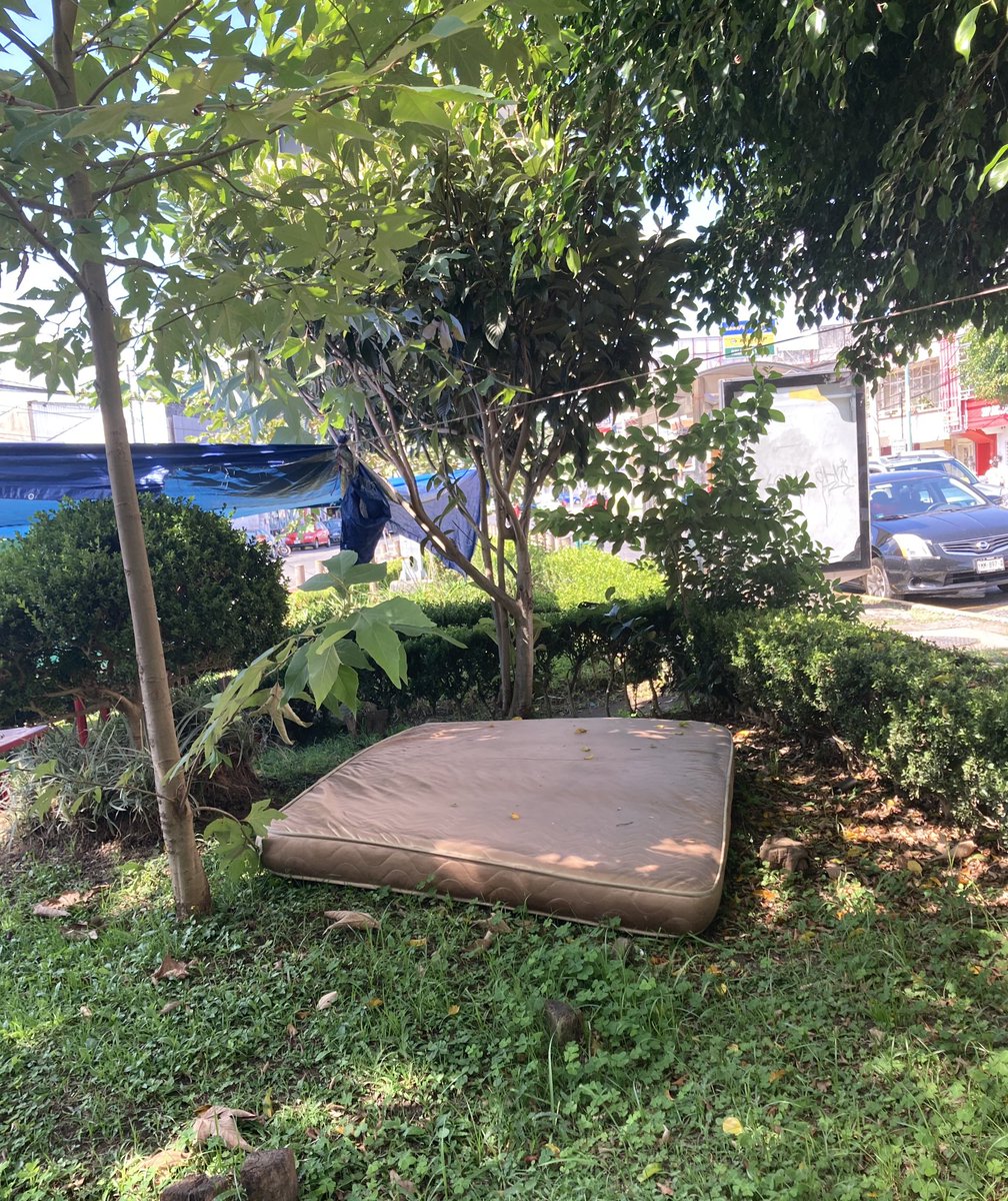 miguelmaciasp's tweet photo. Solo en #Xalapa amanecen los lunes, con los estragos del fin de semana... #Colchonazo en las áreas verdes ( ya no alcanza pa’l motel 🤣🤣) pero la calentura no espera!!! #BuenosMomentos @Xalapaarwendera @VialidadXalapa https://t.co/qmBfMhJVIa