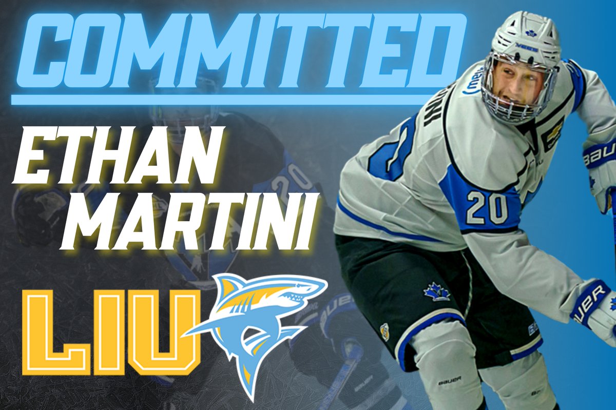 NEWS: The Vees are pleased to announce D Ethan Martini ('00) has committed to <a href="/LIUMHockey/">LIU Men’s Ice Hockey</a> for the 2021/22 season!

Congrats, Ethan!

DETAILS 📝 | bit.ly/2FZKIKD

#BCHL