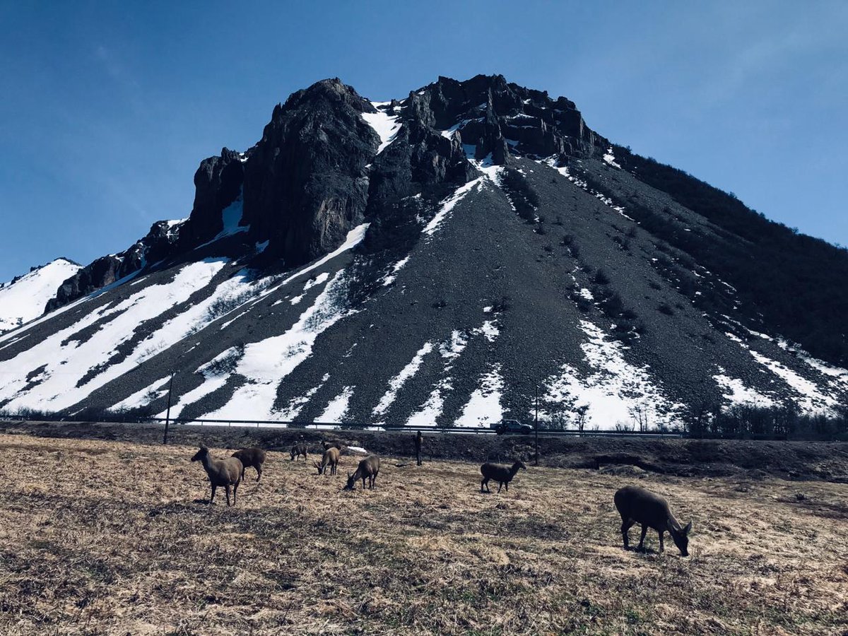 RewildingChile's tweet photo. Nuestro equipo de Rewilding junto a @ConafAysen concretaron la remoción de 600 metros de cercos, de un total de 8 kilómetros, que impiden el libre tránsito de huemules entre el sector Las Horquetas y el Parque Nacional Cerro Castillo, en la Región de Aysén #RewildingChile https://t.co/G4V1dPyDtq