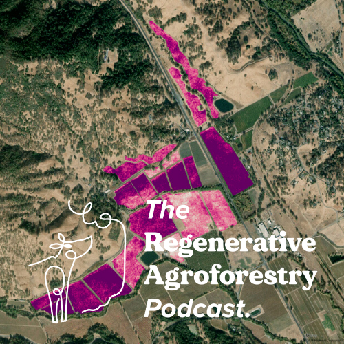 Our next interview is out... and this time we delve into the potential of carbon and biodiversity credits with Christian and Sarah from <a href="/regen_network/">Regen Network</a>. Check out our exiting conversation and find out how agtech can help #agroforestry farms. 

LINK HERE: regenerativeagroforestry.org/episodes/episo…