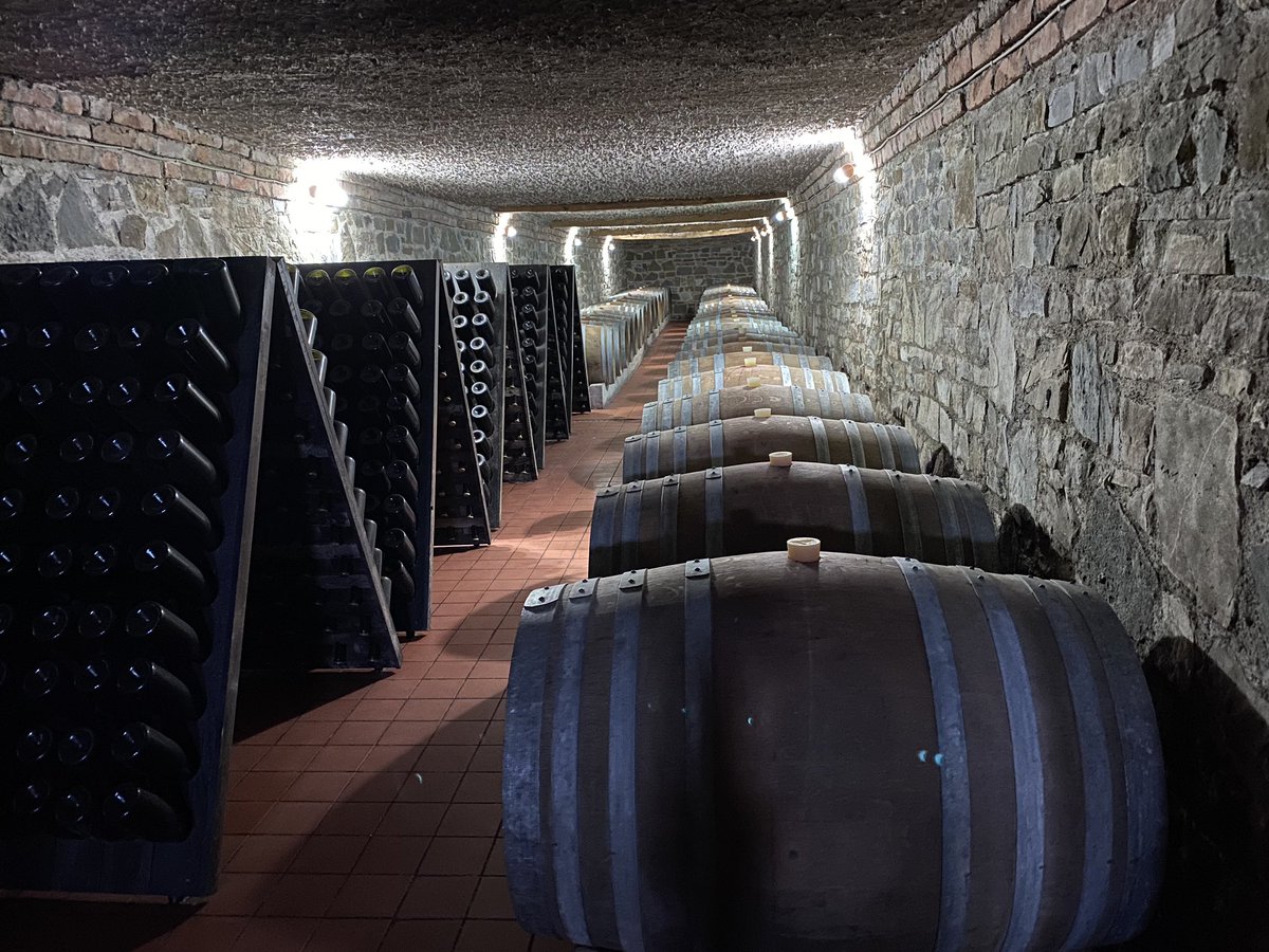 kantina_arberi's tweet photo. #KantinaARBËRI #BarrelRoom #AlbanianWine #Kallmet #SheshiBardhe #VereeKuqe #redWinekallmet #ArbëriWine #ArbëriWinery #Albania #KodërRrëshen #KallmetRezerve #Mirditë #VeratShqiptare #VisitAlbania #ARBËRIproducts #KallmetARBERI #VereratShqiptare #venShqiptare #AlbanianWines #Vere https://t.co/NqDoqXTRPY