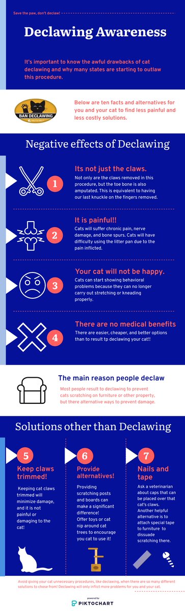 GGrundeland's tweet photo. Declawing should not be normalized! It is painful to cats and they will suffer long term consequences!! #declawingawareness #su2412 https://t.co/VSyuUeyDin