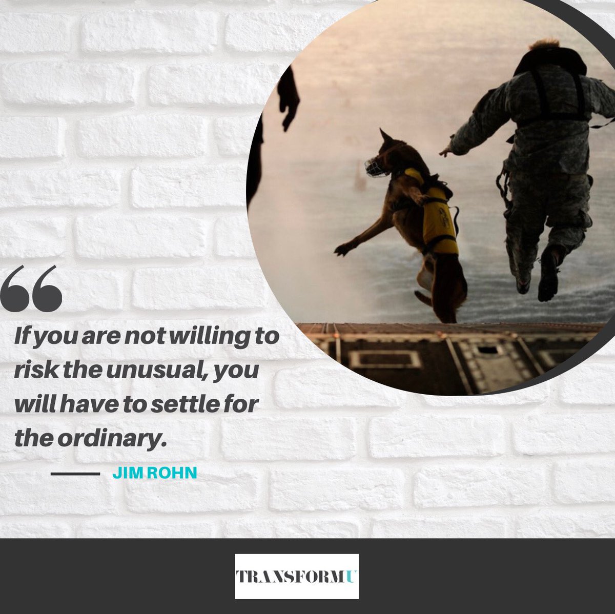 TransFormUniv's tweet image. Are you settling? If fear is driving you, watch out- you might be settling for the ordinary. Taking risks does not guarantee success. But it does guarantee growth, lessons learned, and newfound wisdom. #warriorcoach #impossibledifficultdone
