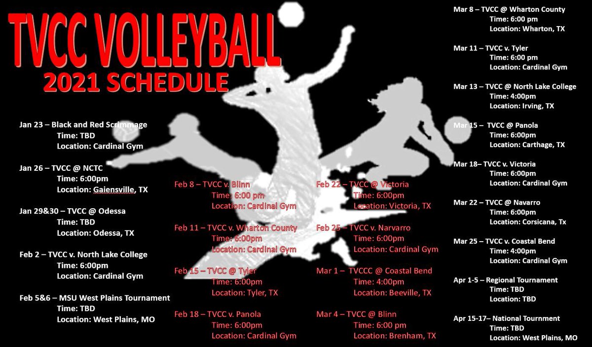 TVCCvball's tweet photo. Catch your lady cards back in action in the Spring of 2021!👌🏼💍❤️ #ringszn #WEARETVCC #cardinalcountry https://t.co/gFAf9qjfeZ