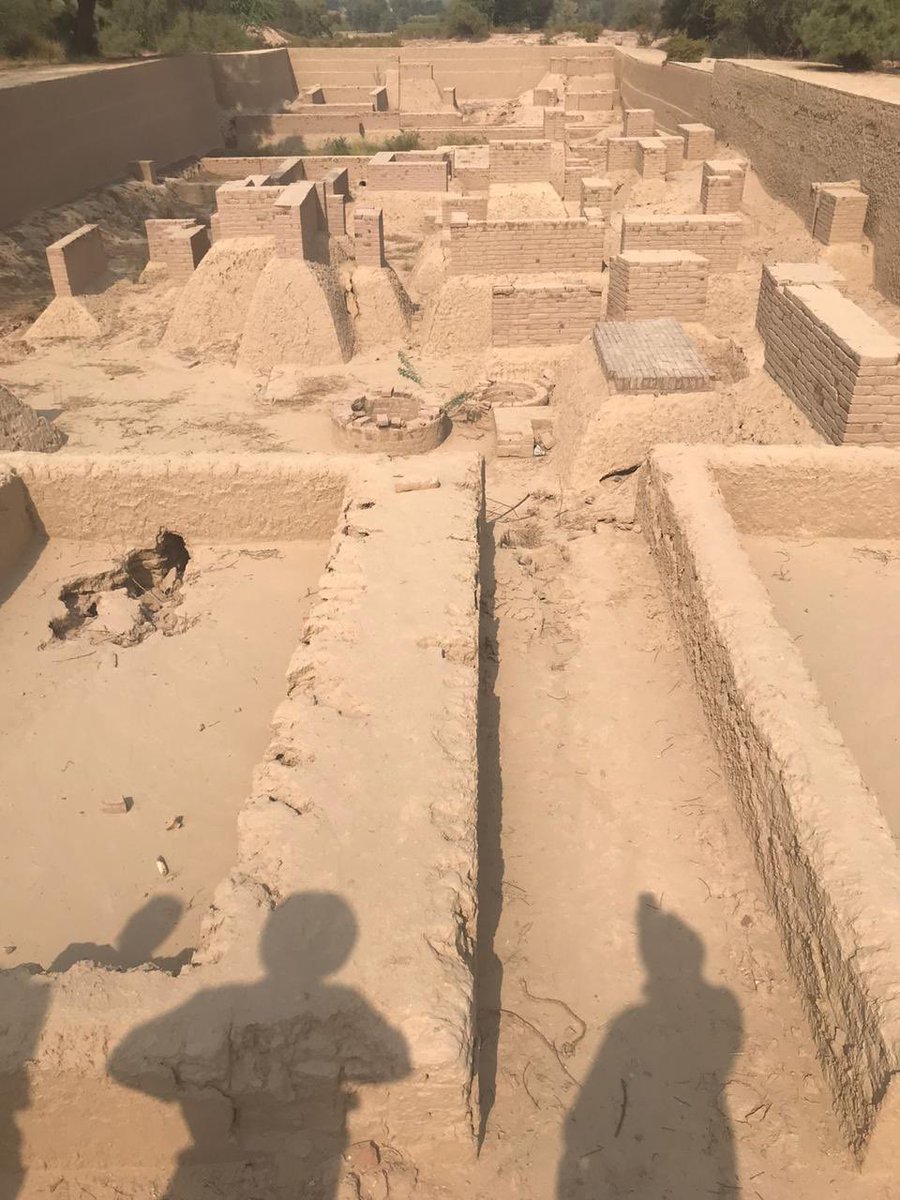 Cube Edutours tweet media