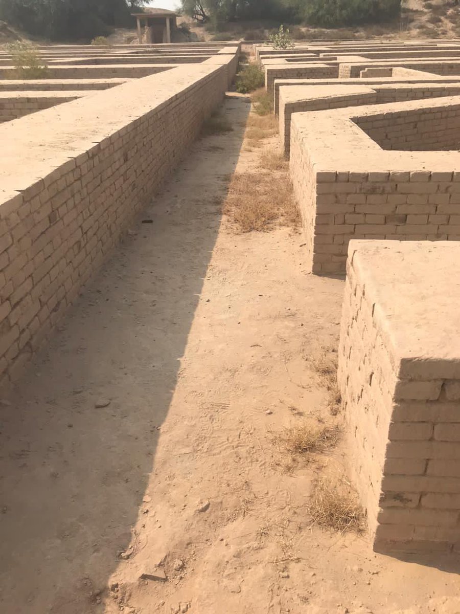 Cube Edutours tweet media