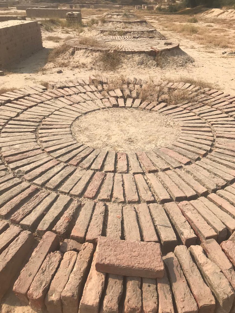 Cube Edutours tweet media