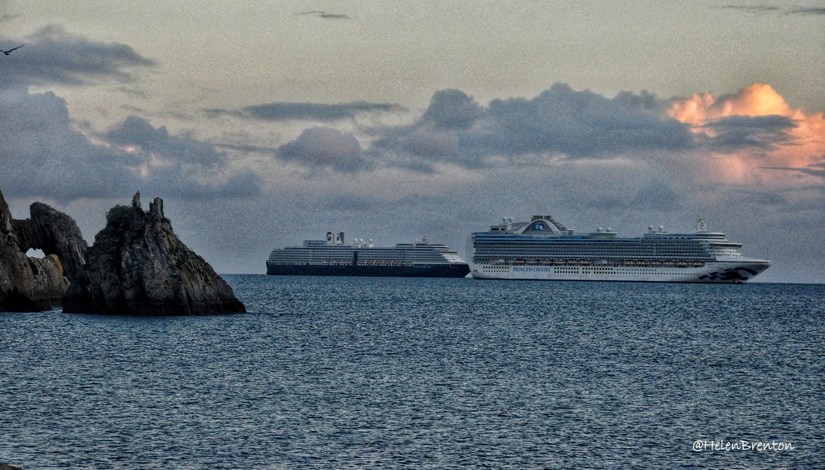 Helen Brenton 🇪🇺 tweet media