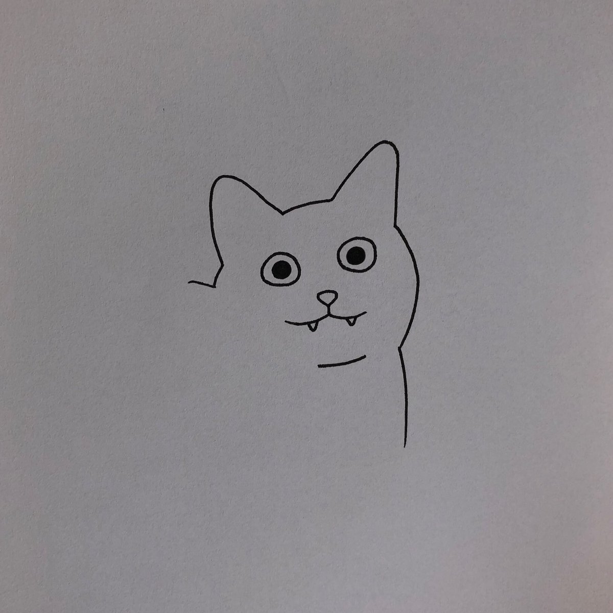 poorly drawn cats (@poorlycatdraw) on Twitter photo 