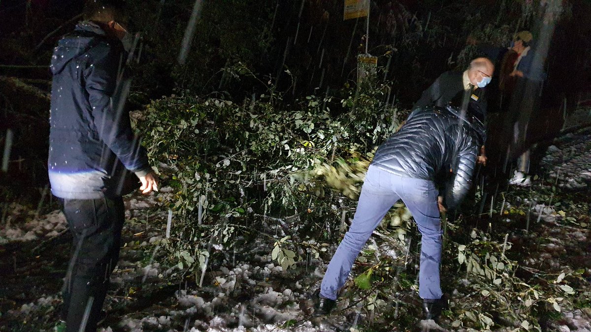 Streckenunterbruch bei der <a href="/rhaetischebahn/">Rhätische Bahn</a> wg Entgleisung bei Thusis, lange <a href="/PostAuto/">postauto</a>-Umleitung durchs Domleschg auf schneebedeckten Strassen. Umgeknickte Bäume werden von Chauffeur und Passagieren gemeinsam geräumt. #Graubünden #Schnee