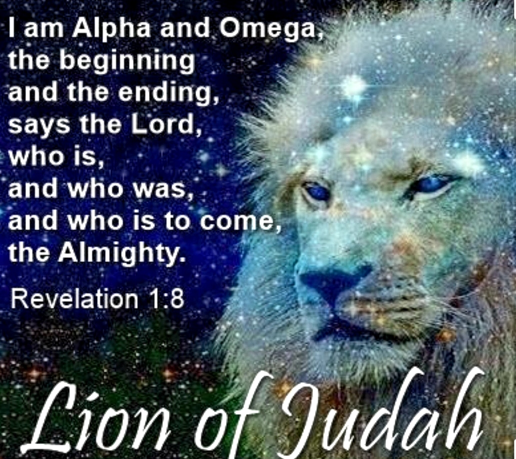 fyalvarez47's tweet photo. @OkNYork1 @RodPiper14 @Alyssa_Milano Tell that to God when you see him https://t.co/zd7SERKngk